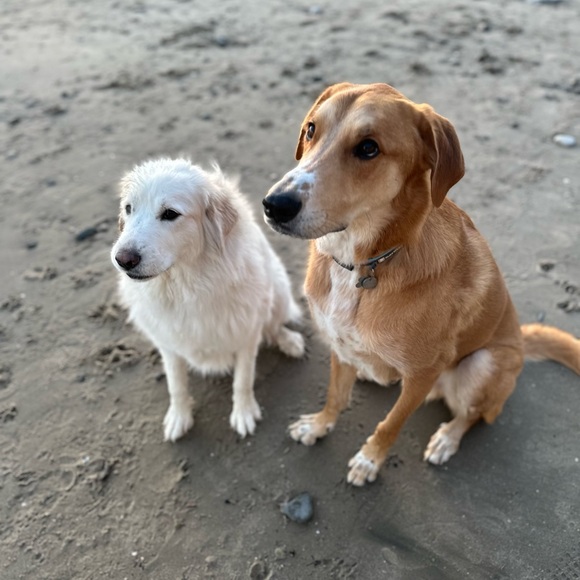 Meet your Posher, MJ - Picture 2 of 3